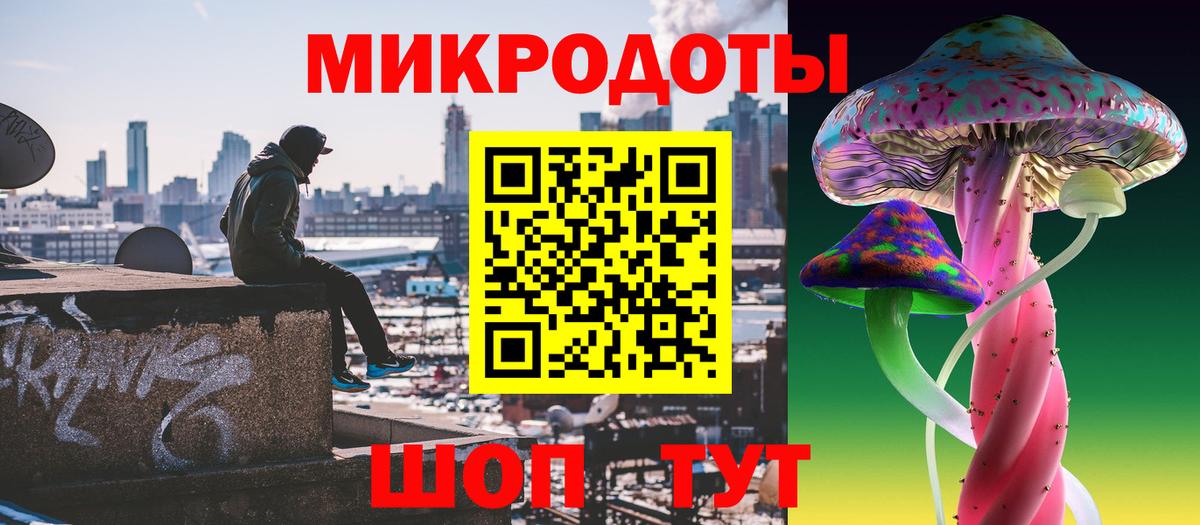 Псилоцибиновые грибы Psilocybe Лыткарино